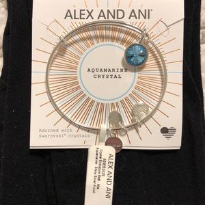 Alex and Ani March birth month charm bangle